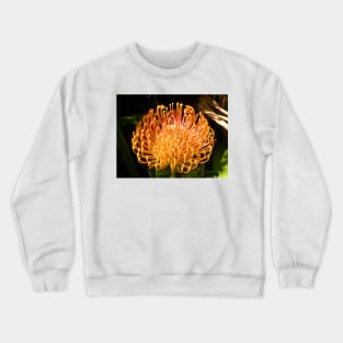 Protea Pincushion Crewneck Sweatshirt